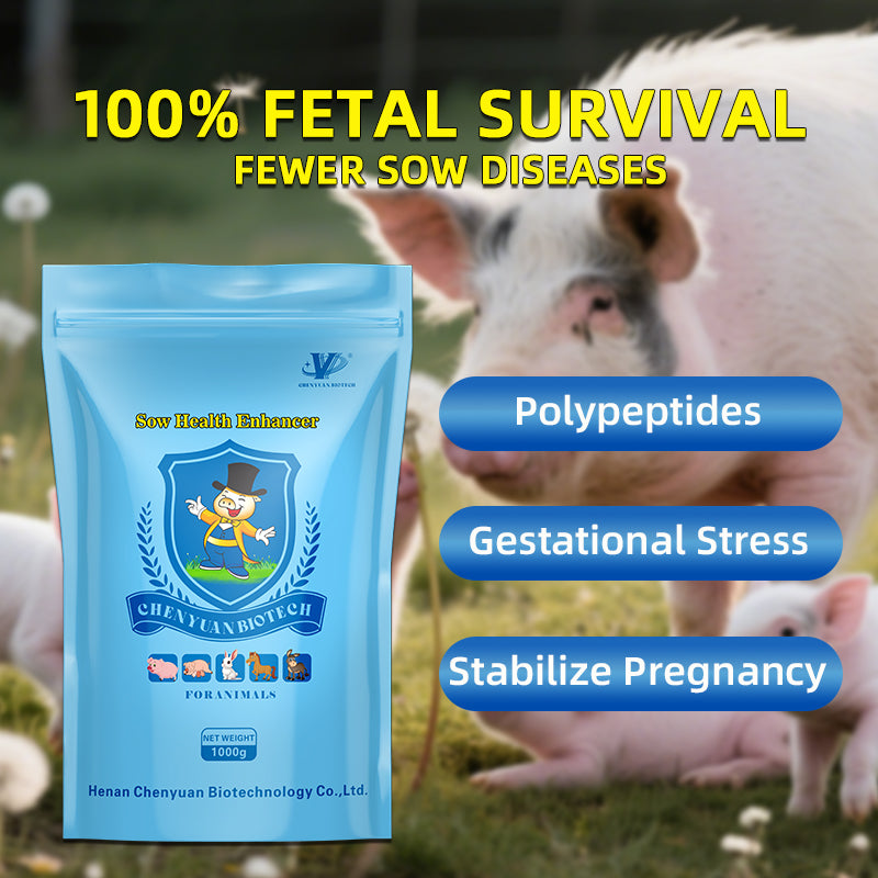 Sow Health Enhancer-Sow Health Enhancer-The Guardian of Sow and Piglet Health