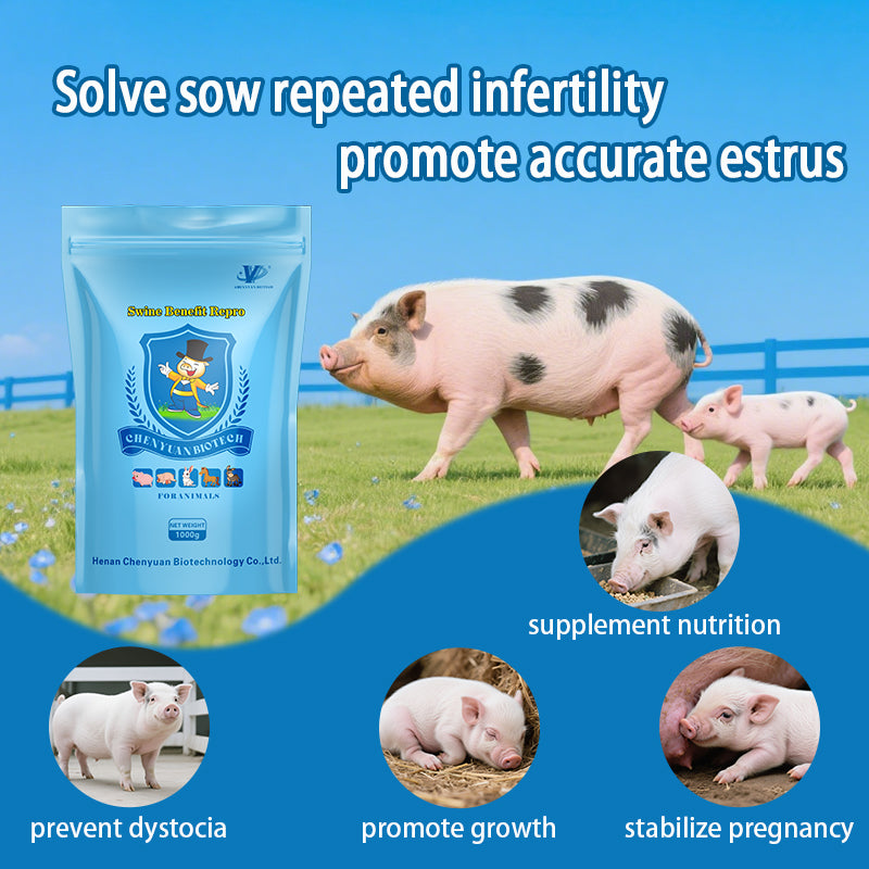 Swine Benefit Repro-Herbal Health Additive for Sows. Increase sow conception rate, Enhance piglet survival rate.