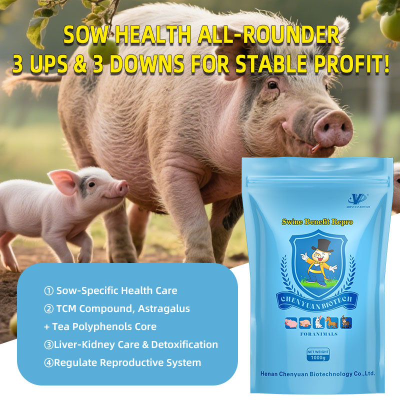 Swine Benefit Repro-Herbal Health Additive for Sows. Increase sow conception rate, Enhance piglet survival rate.