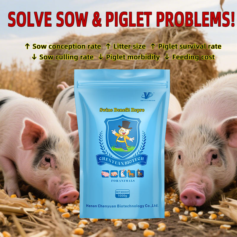 Swine Benefit Repro-Herbal Health Additive for Sows. Increase sow conception rate, Enhance piglet survival rate.