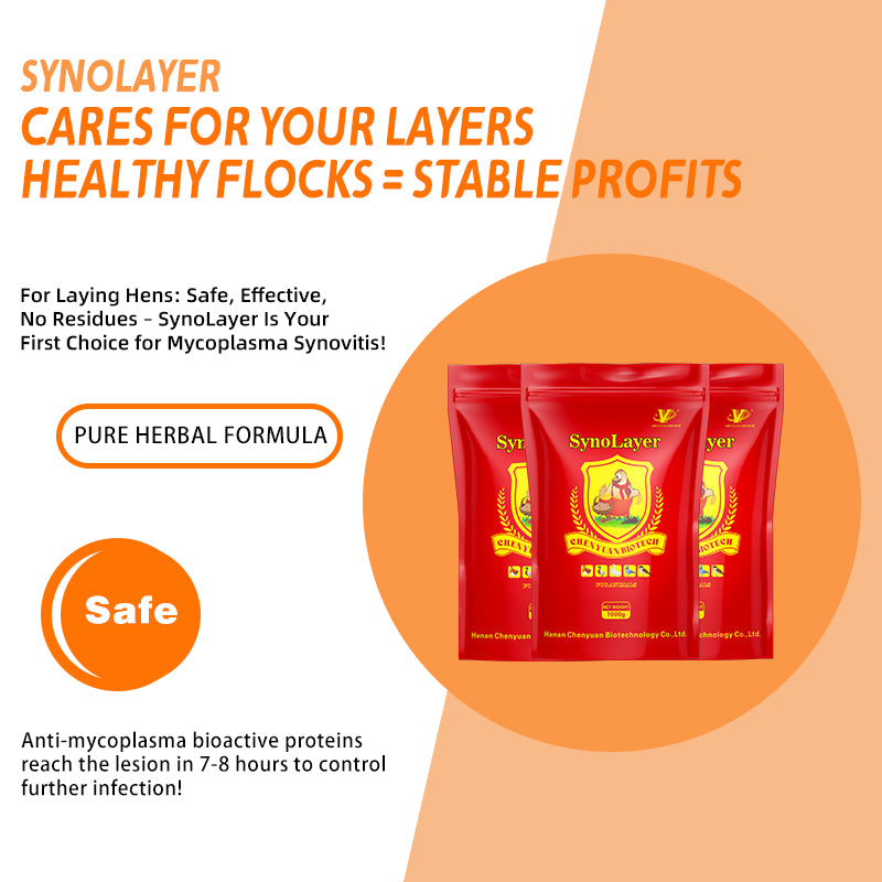 SynoLayer for laying hen