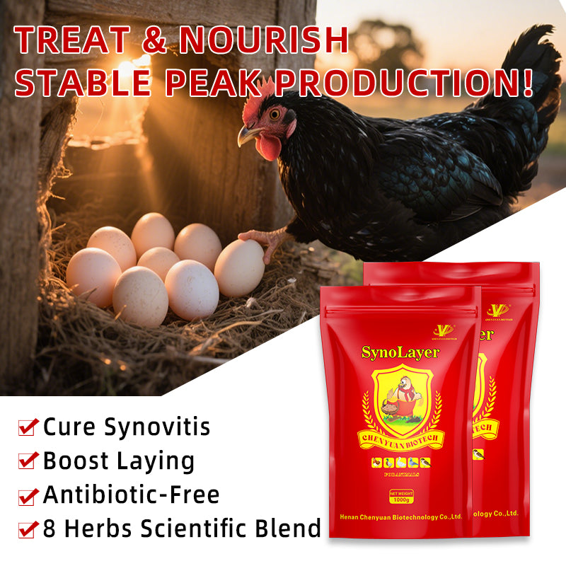SynoLayer for laying hen