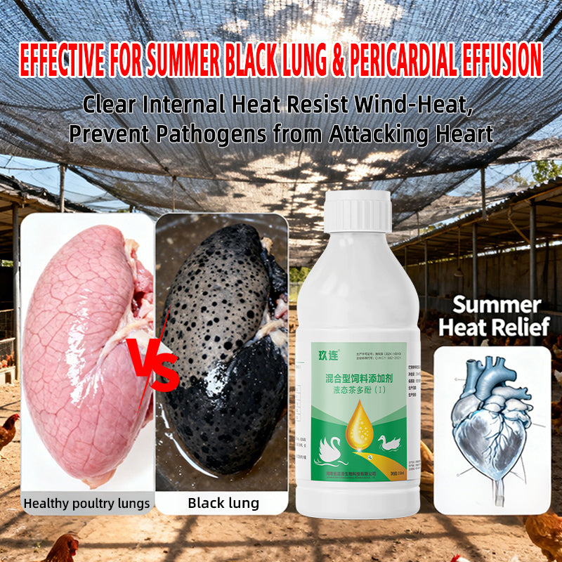 Jiu Lian-Antiviral for Poultry