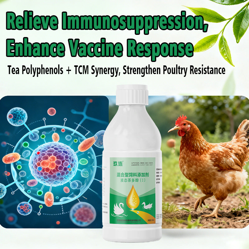 Jiu Lian-Antiviral for Poultry
